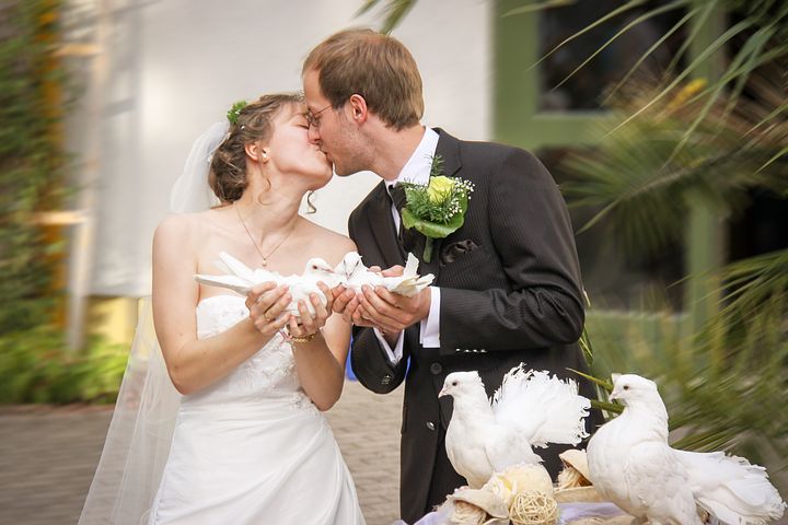 How to Hire the Right Adelaide-Wedding-Photography-Service-Provider